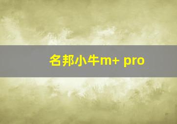 名邦小牛m+ pro